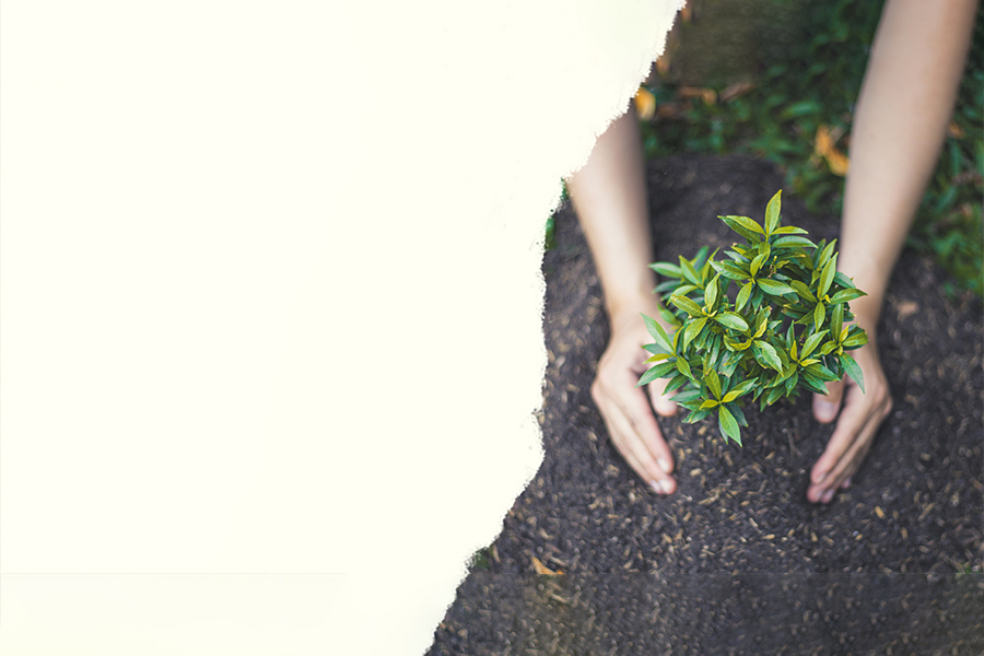 Our Vision of Likith Pencils